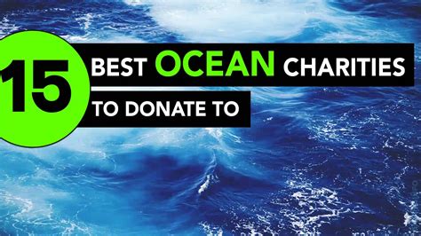 best ocean charities|The 15 Best Ocean Charities .